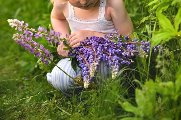 Semi di lupino e fiori nelle palme dei bambini Il bambino tiene in mano i petali di lillà colti