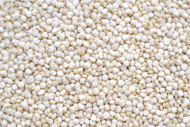 Semi di quinoa bio