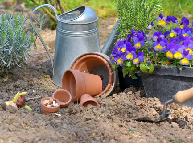 Semi in vaso sul terreno di un giardino con fiori e annaffiatoio