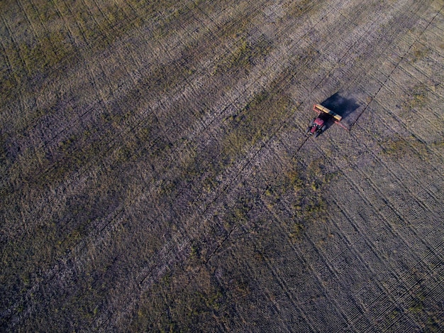 Semina diretta in campo argentino Provincia di La Pampa Argentina