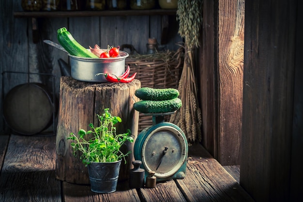 Seminterrato in legno retrò con erbe aromatiche e verdure fresche