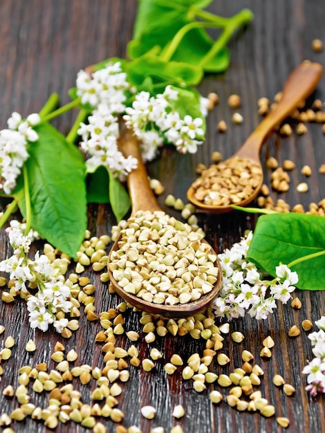 Semole di grano saraceno verde e marrone in due cucchiai con foglie verdi e fiori su uno sfondo di tavola di legno