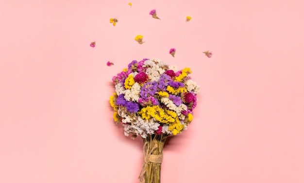 semplice foto piatta con fiori colorati di limonium essiccati al centro dello sfondo rosa