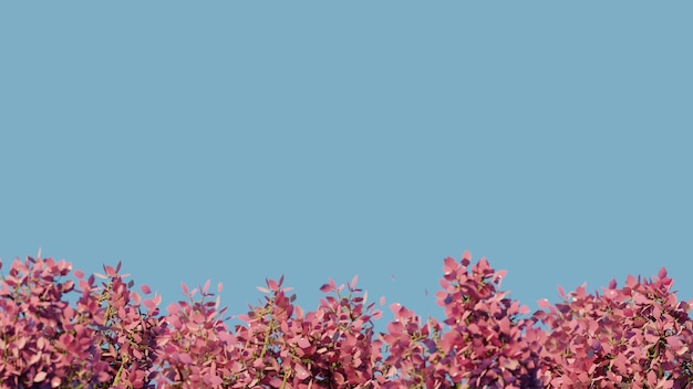 semplice ROSA foglie alberi e cielo BLU estate sfondo 3d render