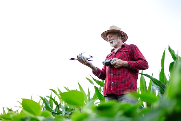 Senior agricoltore che detiene drone agricolo e in piedi nel campo