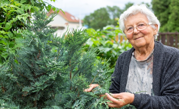 Senior donna o nonna prendersi cura del suo giardino, concetto di giardinaggio, pensionato