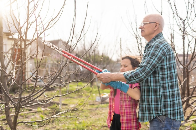 Senior nonno e nipote giardinaggio nel giardino del cortile.