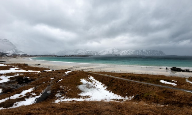 Senja eggum norvegese prelevato nel 2016