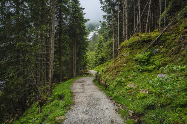 Sentiero alpino escursionistico vicino alla cascata di Grawa Sulzenau Alm Alpi dello Stubai Austria