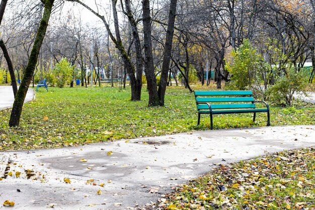 Sentiero bagnato e panchina verde vuota nel parco in autunno