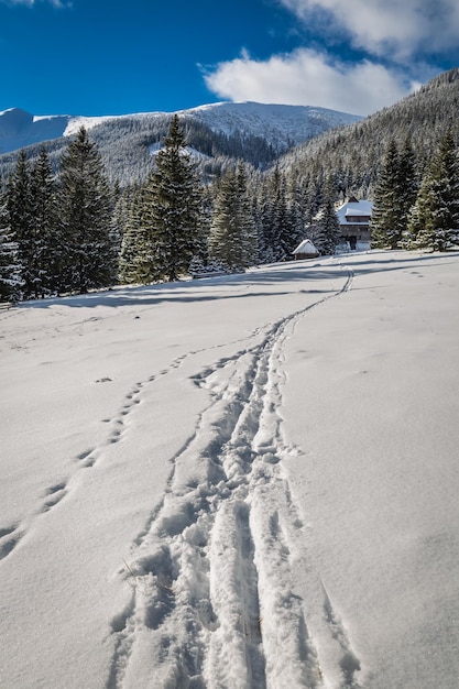 Sentiero che conduce al rifugio di montagna in inverno Monti Tatra Polonia