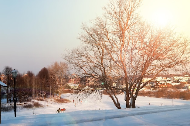 sentiero cittadino inverno