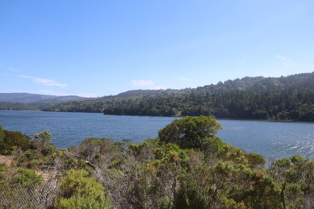 Sentiero delle sorgenti di cristallo San Mateo California