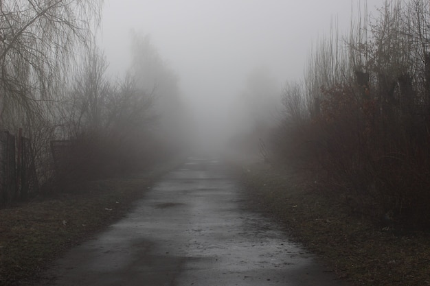 Sentiero deserto nella nebbia. La strada per l'ignoto. Paesaggio mistico.