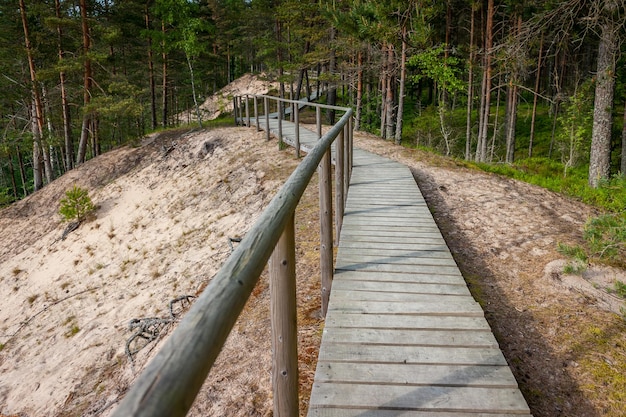 Sentiero di legno stretto sopra la duna bianca che si snoda attraverso la foresta