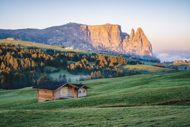 Sentiero di montagna dell'Alpe di Siusi o dell'Alpe di Siusi e dello Sciliar o dello Sciliar nelle Dolomiti di luce dell'alba