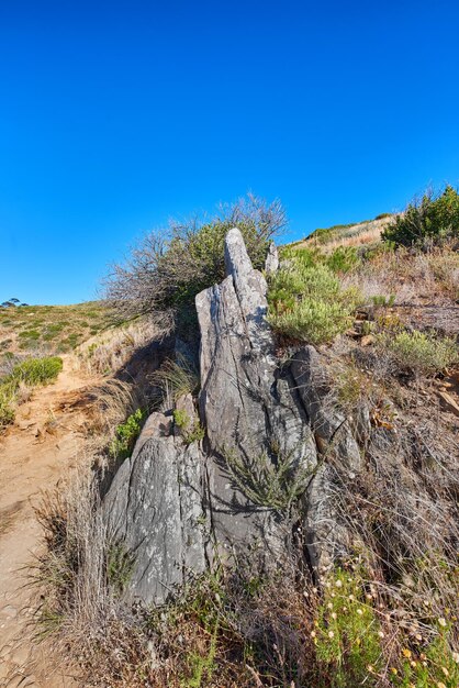 Sentiero di montagna remoto sulla Table Mountain Sentiero di montagna appartato circondato da massi e alberi Sentiero sulla cima di una montagna Attrazione turistica a Città del Capo Sentieri da esplorare