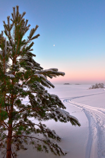 Sentiero di Natale nella neve