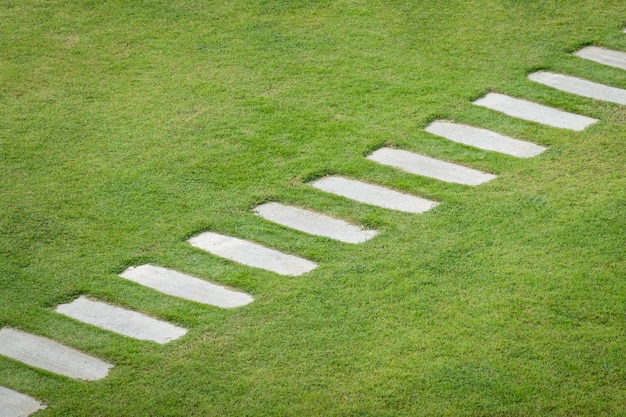 Sentiero di pietra a piedi nel giardino verde cortile.