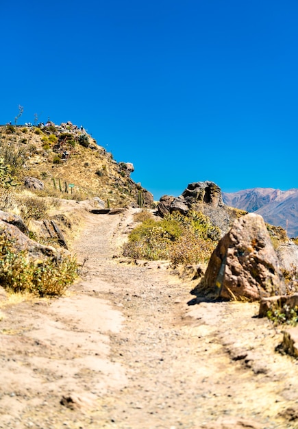Sentiero escursionistico al Canyon del Colca in Perù, uno dei canyon più profondi del mondo