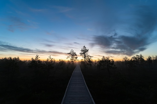 Sentiero escursionistico in legno nella palude di Viru al mattino presto all'alba in estate Foto di alta qualità