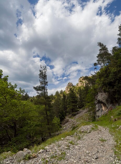 Sentiero escursionistico nella gola della montagna di Agali sull'isola di Evia in Grecia