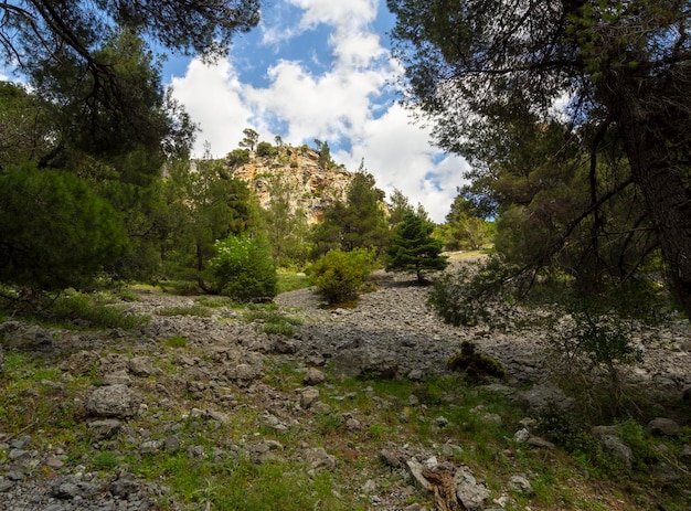 Sentiero escursionistico nella gola della montagna di Agali sull'isola di Evia in Grecia