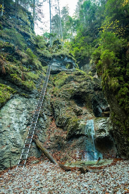 Sentiero escursionistico nella gola di Sucha Bela nel Parco Nazionale Slovensky raj Slovacchia