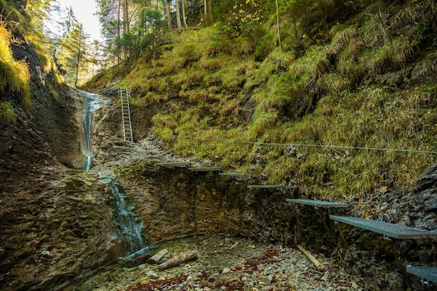 Sentiero escursionistico nella gola di Sucha Bela nel Parco Nazionale Slovensky raj Slovacchia