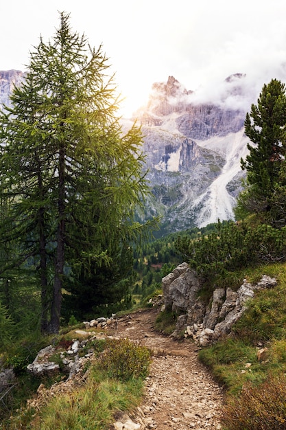 Sentiero escursionistico nelle montagne Dolomiti, Italia. San Martino di Castrozza