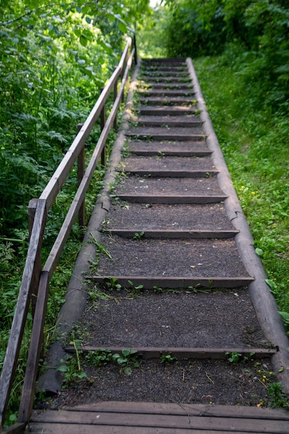 Sentiero in legno con ringhiere e gradini in una lussureggiante foresta verde Passeggiata all'aperto