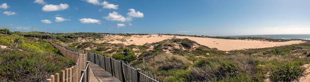 Sentiero in legno del Guincho attraverso le dune di sabbia