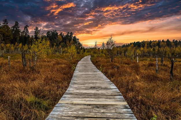 Sentiero in legno della foresta autunnale con un bellissimo tramonto