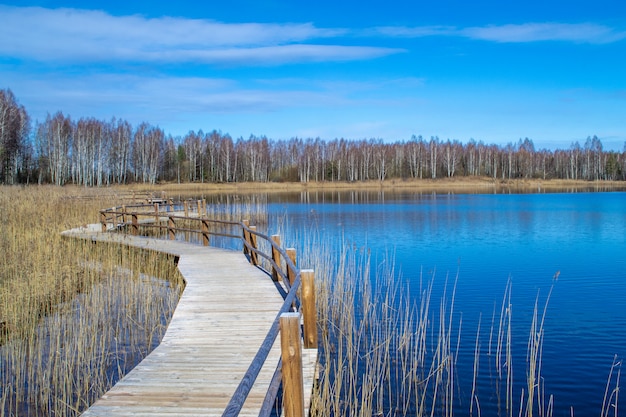 Sentiero in legno lungo il lago. Riva del lago, canne e sentiero. Cava delle pianure a Olaine, Lettonia