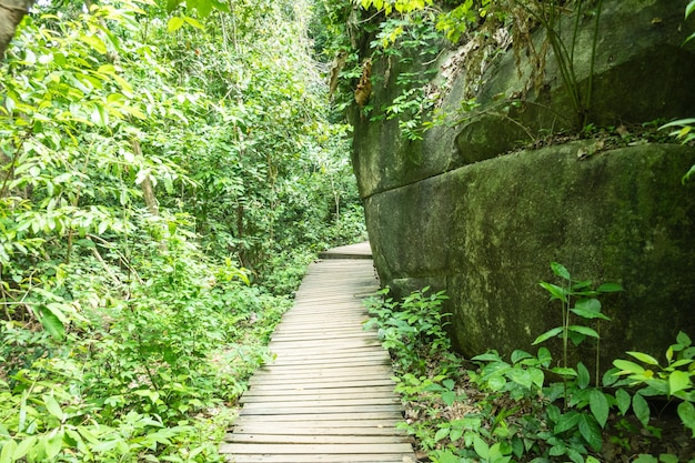 Sentiero in legno nel Parco Naturale Nazionale Tayrona in Colombia