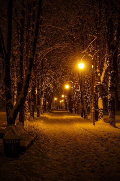 Sentiero in un parco cittadino d'inverno. Fila di lanterne.