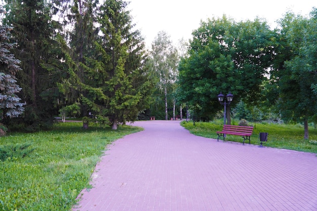 Sentiero lastricato tra gli alberi nel Parco di Ulyanovsk