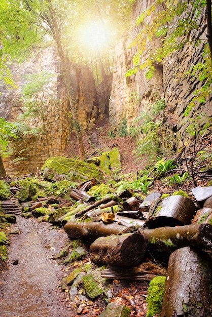 Sentiero Mullerthal in Lussemburgo tra Echternach e BerdorfEscursione attraverso una foresta di arenaria