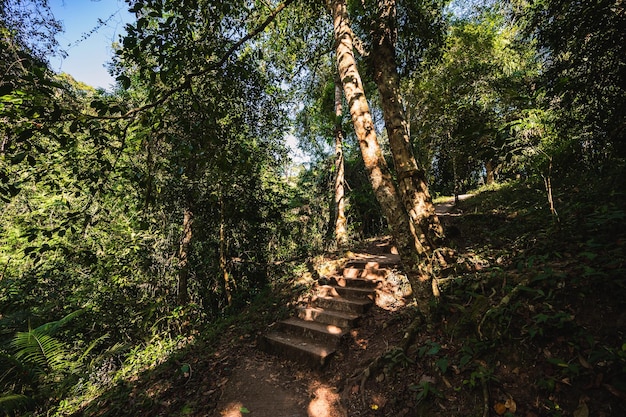 Sentiero naturalistico alla cascata di Sapan nan ThailandSapan è un piccolo e tranquillo villaggio di montagna