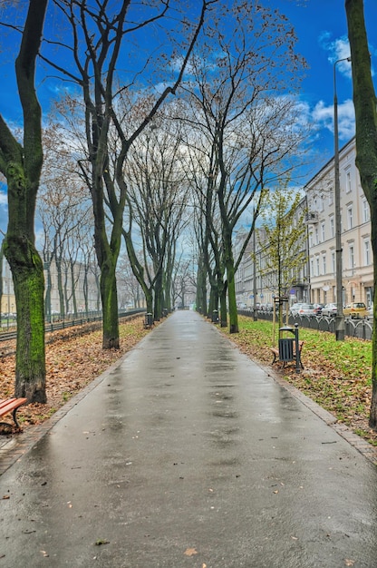 Sentiero nel parco a Cracovia