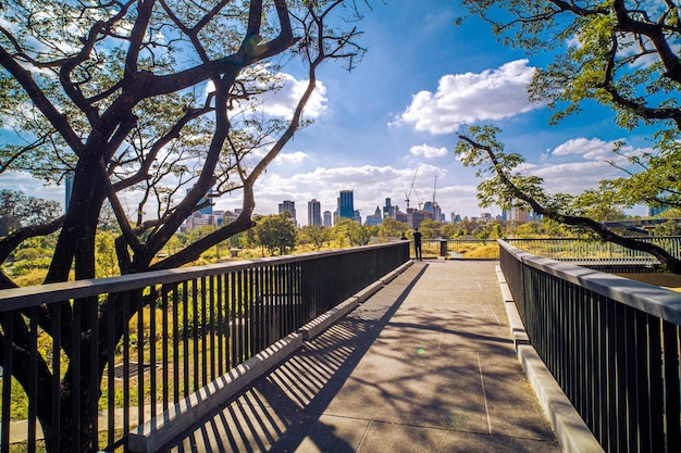 sentiero nel parco cittadino