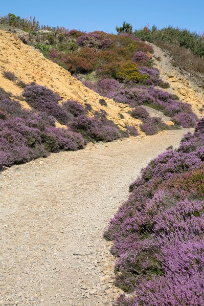 Sentiero nella miniera di rame di Parys Mountain a Amlwch, Anglesey, Galles, Regno Unito