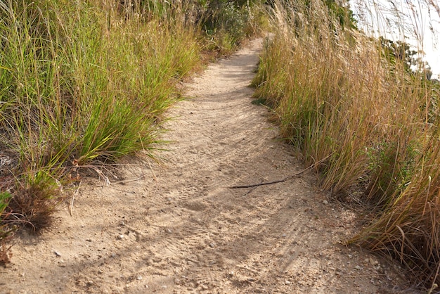 Sentiero panoramico attraverso prati lungo una montagna Primo piano di un sentiero aspro e sabbioso nella natura da esplorare durante una passeggiata all'aria aperta all'aperto Paesaggio remoto e tranquillo nella natura selvaggia