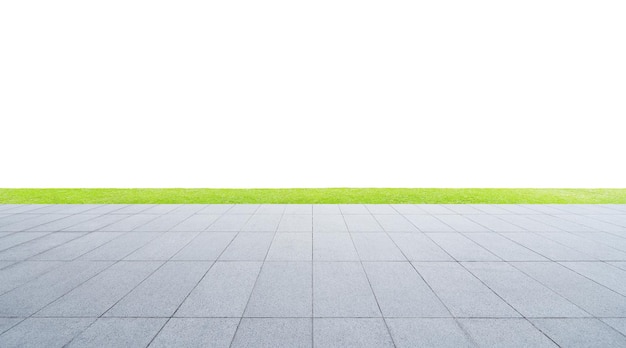 Sentiero sul campo contro un cielo limpido