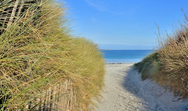 Sentiero tra le dune sabbiose ed erbose delimitate da staccionata in legno in riva al mare