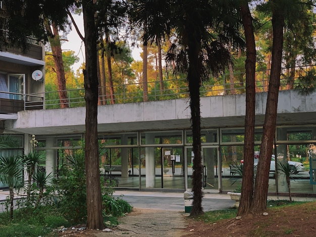 Sentiero vicino alle palme e agli edifici della città