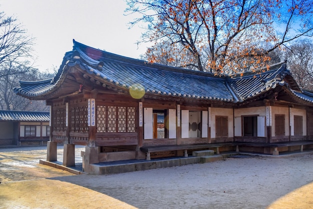 SeoulCorea del Sud 1122020 Changdeokgung è il meglio conservato dei "Five Grand Palaces" della dinastia Joseon Questa foto è dal giardino segreto Huwon dietro il palazzo a Seoul, Corea