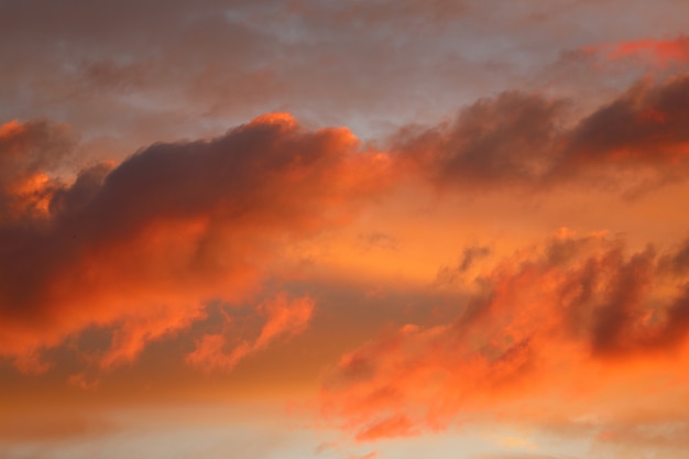 Sera bellissimo tramonto. nuvole nel cielo arancione. Foto di alta qualità