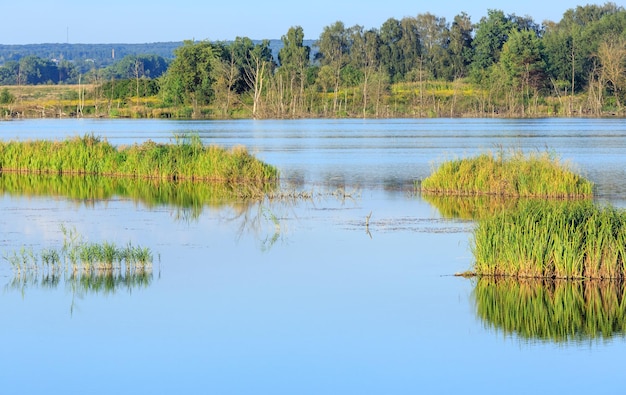 Sera d'estate paesaggio lacustre con riflessi di piante sulla superficie dell'acqua (vicino all'insediamento di Shklo, Oblast' di Leopoli, Ucraina).