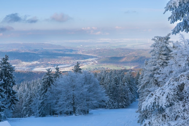 Sera d'inverno in alta montagna che si affaccia su un bosco innevato